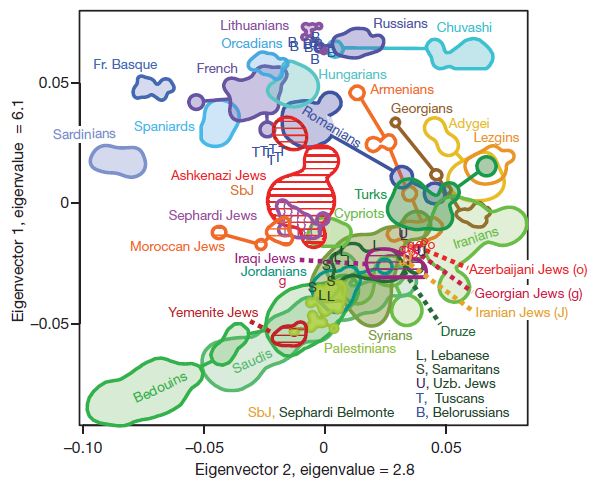 Behar's (2010) plot detailing the Levantine genetic structure in relation with Europe.