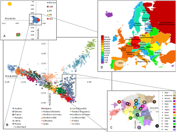 Having recent admixtures successfully filtered out, Nelis' team (2012) presented Europe's genetic landscape in the form of a triangle, with the Finnish, Baltic and Italian samples as its vertexes.